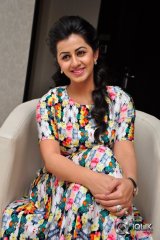 Nikki Galrani at Krishnastami Movie Success Meet